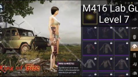 升级枪m4最新爆料,揭秘最新爆料与性能革新