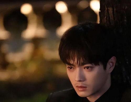 成毅爆料女友视频大全最新,女友视频大揭秘，甜蜜瞬间尽收眼底