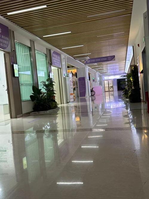 襄阳医院最新爆料新闻事件,疑涉重大医疗事故引发社会关注