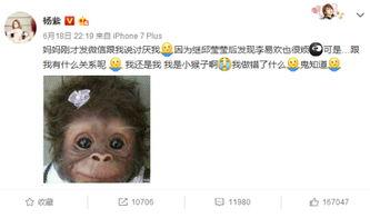 杨紫最新爆料贴吧微博,揭秘娱乐圈幕后故事